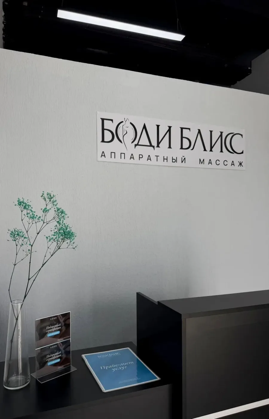 Студия Body Bliss в Пензе